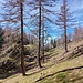 Bei der Magdeburger Hütte schwenke ich nach Osten und hinunter zur...