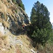 Sul sentiero per il Passo San Jorio.