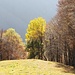 Autunno.