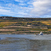 Die Fähre von Bingen nach Rüdesheim
