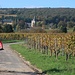 Schloss Vollrads im der Ferne