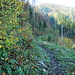 abwärts Richtung Doubs