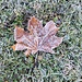 Frostiger Morgen in Scuol