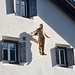 Unbekannter Mann schwebt an Haussfassade in Sent