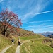 Wanderung talauswärts in Sent