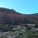 Devo risalire tutto il versante del Pizzo Sciresa