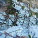 Salto da aggirare a monte