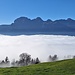 Oberhalb von Triesenberg tauchten wir in die Nebelsuppe ein. Die Nebellage war dynamisch und im Nu standen wir hier im Nebel.