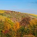 Herbstfarben