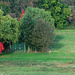 Herbstfarben