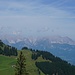 Tomschy vor Wilden Kaiser