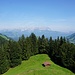 immer höher
