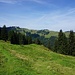 hier über den unbezeichneten Wiesenpfad verlasse ich den Wanderweg