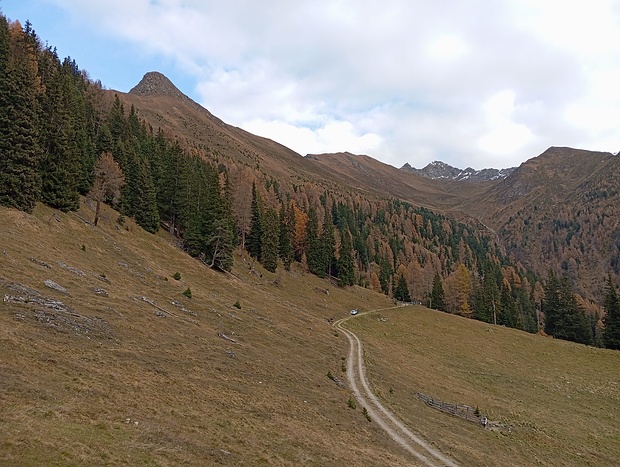 Der Forstweg ist wieder erreicht.