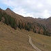 Der Forstweg ist wieder erreicht.