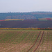 Herbst in Fürfeld