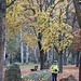 Buntsandsteinpark in Alsenz