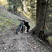 Wenn Wanderweg steht, ist auch Wanderweg drin ;-)