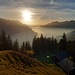Byebye liebe Sonne - jetzt gehts wieder in die 50 shades of gray....