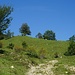 aufwärts