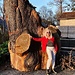 ceppo gigante di quercia aranno 03 11 2024 e edith