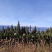 Wo der Wanderweg von Vimperk einmündet, habe ich eine schöne Aussicht nach Nordwesten.