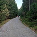 Der Anstieg erfolgt ausschließlich über diesen Forstweg, der in diesem Abschnitt eine starke Steigung aufweist, die im Bild aber nicht rüber kommt.