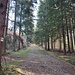 Der Anstieg zum Boubin ist im Ort gut beschildert und führt nach dem Bahngleis über diesen Forstweg weiter.