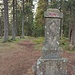 Der Johnstein steht auf einer Anhöhe, die vermutlich gleich mit dem Srni vrch  1296 m ist. Der Pfad führt in Sichtrichtung weiter.
