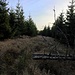 Einen eindeutigen Gipfelpunkt konnte ich nicht finden. Im Bild sieht man den den Grenzsteig, der den Naturpark abgrenzt, er führt aber nach Süden. Ich folge deshalb den Wegspuren in westlicher Richtung mit den zwei weißen Balken.