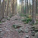 Rückblick auf den Steig, der vermutlich selten benutzt wird. Er wäre gerade im Aufstieg auch ganz schön fordernd.