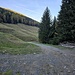 Alp de Montogn