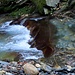 Rià de la Montogna