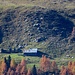 Alp de Bon