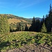 Sicht gegen den Miesenstock (noch in weiter Ferne)
