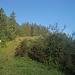 Südlich der Kiesgrube