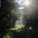 Talnahe Wanderung hinüber zum Ortsteil Bichelbach