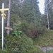 "Schneeplatz" - Altes und Neues Schild