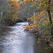...und den Wald, an die Lieser