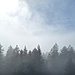 Nach Süden hin gab es auf dem Turm wenig zu sehen.