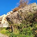 <b>La clinica C.O.F. Lanzo Hospital (960 m).
Questo masso erratico sulle vecchie cartoline è chiamato “Sasso Capanna”, perché vi è stato addossato un piccolo rifugio in muratura.
<img src="http://f.hikr.org/files/4005966k.jpg" /></b>
