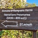 <b>Un cartello informa che a 20 minuti di cammino, poco sotto la vetta del Monte Caslè (1045 m), da tempo è stato trovato un villaggio fortificato di età preistorica (1200 – 800 a.C.), denominato “Il castelliere preistorico del Monte Caslè”. La sua funzione era di proteggere gli abitanti e i loro animali e probabilmente formava un sistema difensivo a controllo del territorio circostante.
Nei suoi pressi c’è pure un masso erratico coppellato, sulla cui superficie si contano numerose coppelle. </b>
