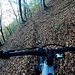 <b>Tornato alla base e ripresa la bici decido di compiere l’anello del Monte Pinzernone in senso orario. Il single track è sì fluido, ma piuttosto insidioso a causa dello strato di foglie secche che nascondono radici, pietre e rami caduti. Più avanti ci sono pure dei tratti con foglie bagnate, che rendono il fondo sdrucciolevole. </b>