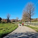 <b>Scendendo verso Verna aumentano le offerte culturali e artistiche.</b>