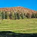 <b>Il Monte Pinzernone visto da Bartoletto.</b>