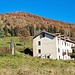 <b>Alla Gregoriana.</b>