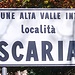 <b>Scaria.</b>