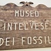 <b>Museo Intelvese dei Fossili.
Comprende 3 sezioni:
- Minerali
- Insetti dal mondo
- Fossili

Orari di apertura 2024:
LUGLIO: Sabato dalle 16:00 alle 17:30 
               Domenica dalle 10:30 alle 12:00
AGOSTO: Sabato dalle 16:00 alle 17:30
               Domenica dalle 10:30 alle 12:00. </b>