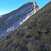 Blick zum Nachbarn