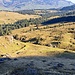 Blick auf die Alp Selamatt